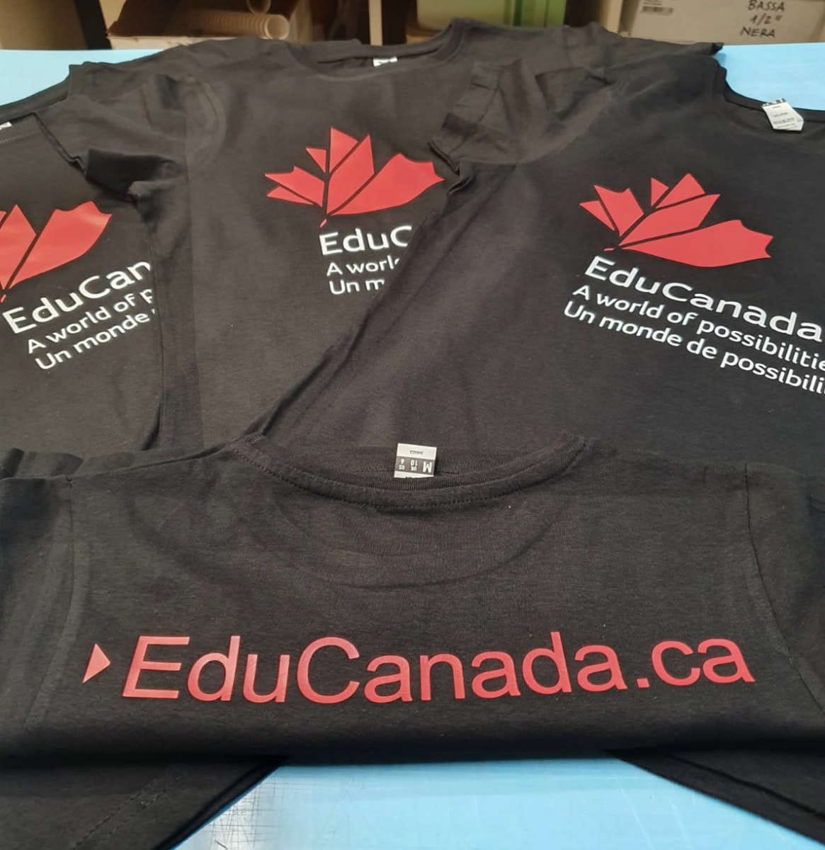 Evento EduCanada